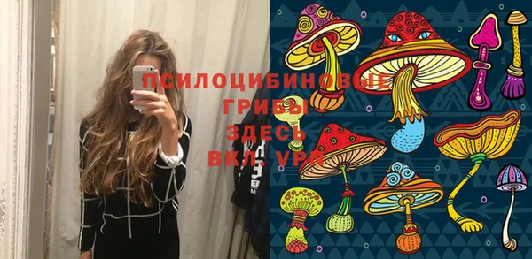 марки lsd Дмитриев