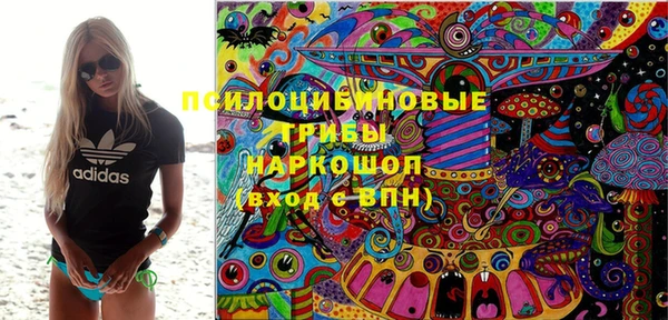 трава Новокубанск