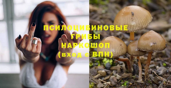 каннабис Дмитров