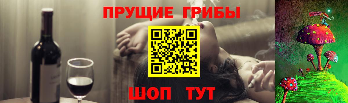 Копейск  Псилоцибиновые грибы Cubensis  Вход с VPN 